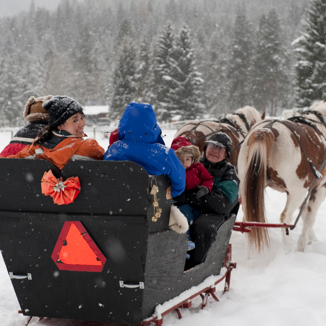 Kulig w Wiśle - 220 zł/os. 