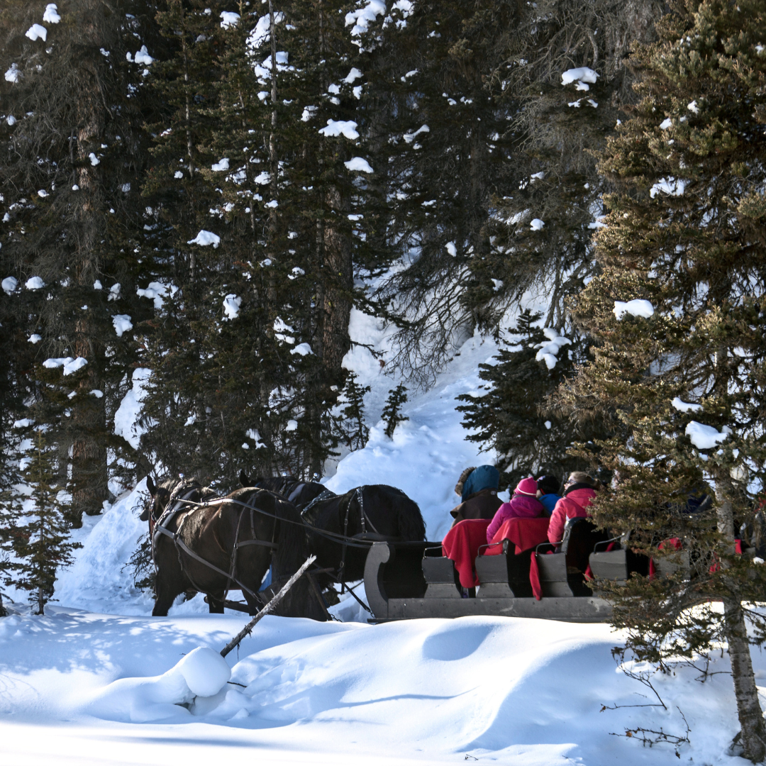 Kulig w Gostkowie - 220 zł/os. 